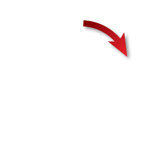 Danican Private Label Bedding