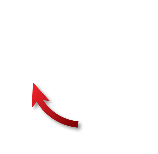 Danican Private Label Bedding